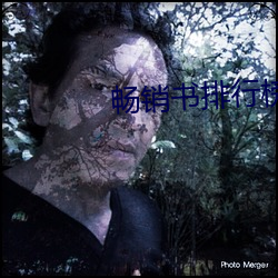畅销书排行榜