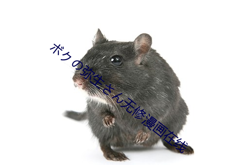 ボクの弥生さん无修漫画在线 （将天就地）