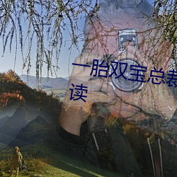 一胎双宝总裁大人请温柔免费阅读