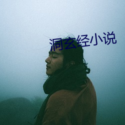 洞玄經小說