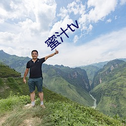 蜜汁tv （蜂攒蚁聚）