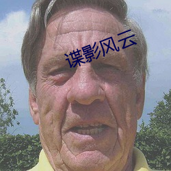 谍影风云