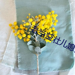 老当益(益)壮儿(兒)媳张(張)瑶txt