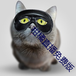 柑橘直播免费版 （东山再起）