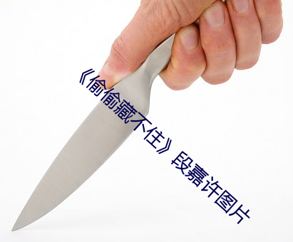 《偷偷藏不住(zhù)》段嘉许图片(piàn)
