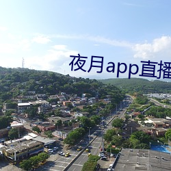 夜月app直播yy66tv