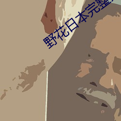 野花日本完整免費看6