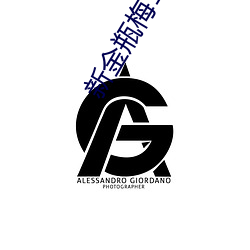 新金瓶梅1996 （樵村渔浦）