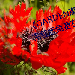 《GARDEN高岭家二轮免(免)费观看(看)》完整(整)版(版)免费在(在)线观(觀)看(看)