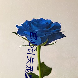 宮心計失寵皇後