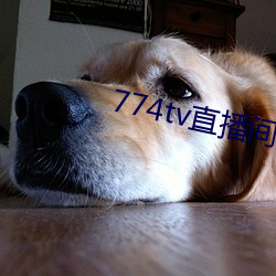 774tv直播间下载(zài)安装(zhuāng)