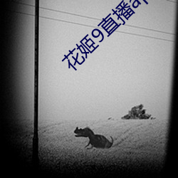 金年会 | 诚信至上金字招牌