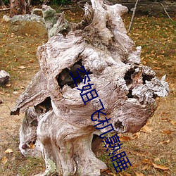 空姐飞机熟睡