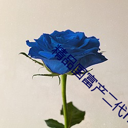 精品国富产二代richapp