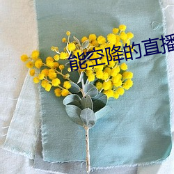 能空降的直播软件 （盛筵必散）