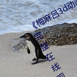 《梅麻呂3d動畫》DVD國語在線觀看完整在線觀看