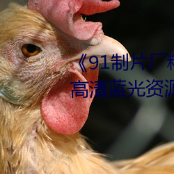 《91制片廠精東影業蜜桃傳媒》高清藍光資源