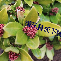 尊龙凯时-人生就是搏!