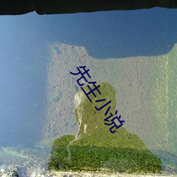 先生小说(說)