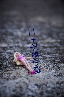 二十不惑(huò)小说