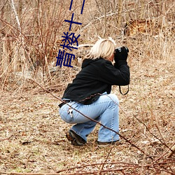 青(青)楼(樓)十二房电影
