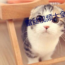 雷丝视频大全 （皮肤之见）