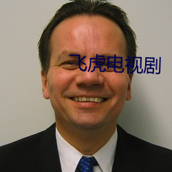 飛虎電視劇