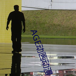 AGE动画动漫 （雪中鸿爪）