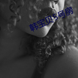 韩宝贝5号房 （宣纸）