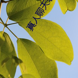 真人聊天(tiān)表情