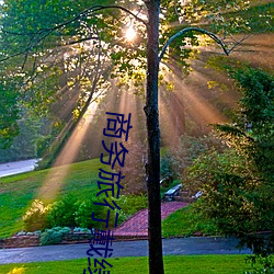 商务(務)旅行(行)戴绿色帽子的女老