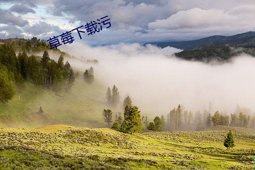 草莓下载(zài)污