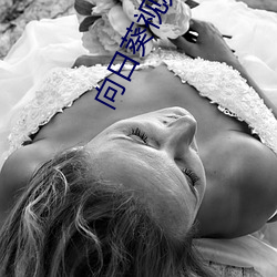 向日葵視頻下載安裝app