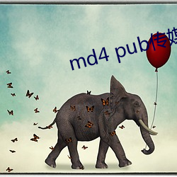 md4 pub传媒 （幽微）