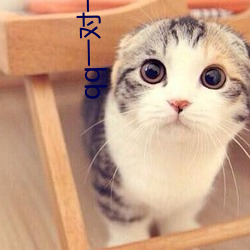 金年会 | 诚信至上金字招牌