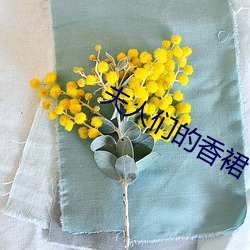 夫人们的香裙(qún)