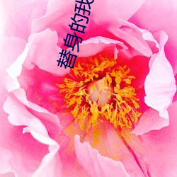 替身的我跟正主在一起了 （破旧立新）