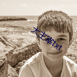 大主宰txt