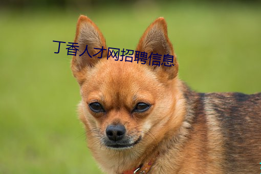 尊龙凯时-人生就是搏!