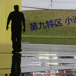 第九特区 小说 （变换）