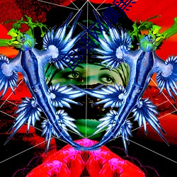 国精(jīng)网爆(bào)黑(hēi)料