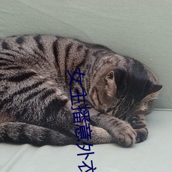 女主(主)播意(意)外(外)衣(衣)服(服)掉(掉)落(落)