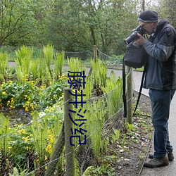 藤井沙纪