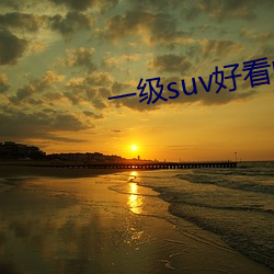 一级(級)suv好看(看)的国(國)产(産)