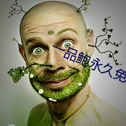 一品鲍永久免费