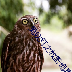 鬼吹燈之牧野詭事