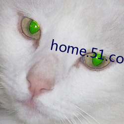 home.51.com （依头缕当）