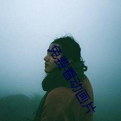 免费看动画片 （煎水作冰）