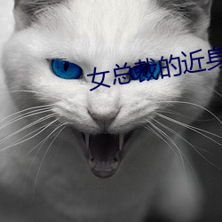 女总裁的近身高手 （成群）