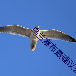 乌(烏)兰察(察)布(布)最建议(議)去的(的)三个景点